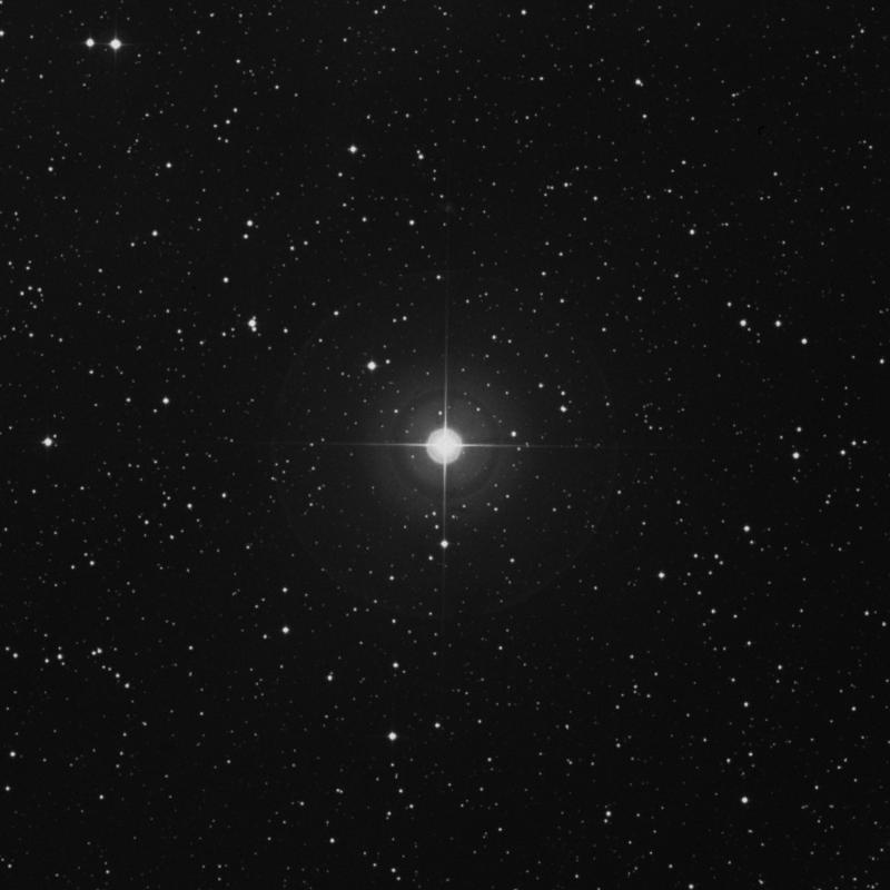 Image of Menkib - ξ Persei (xi Persei) star