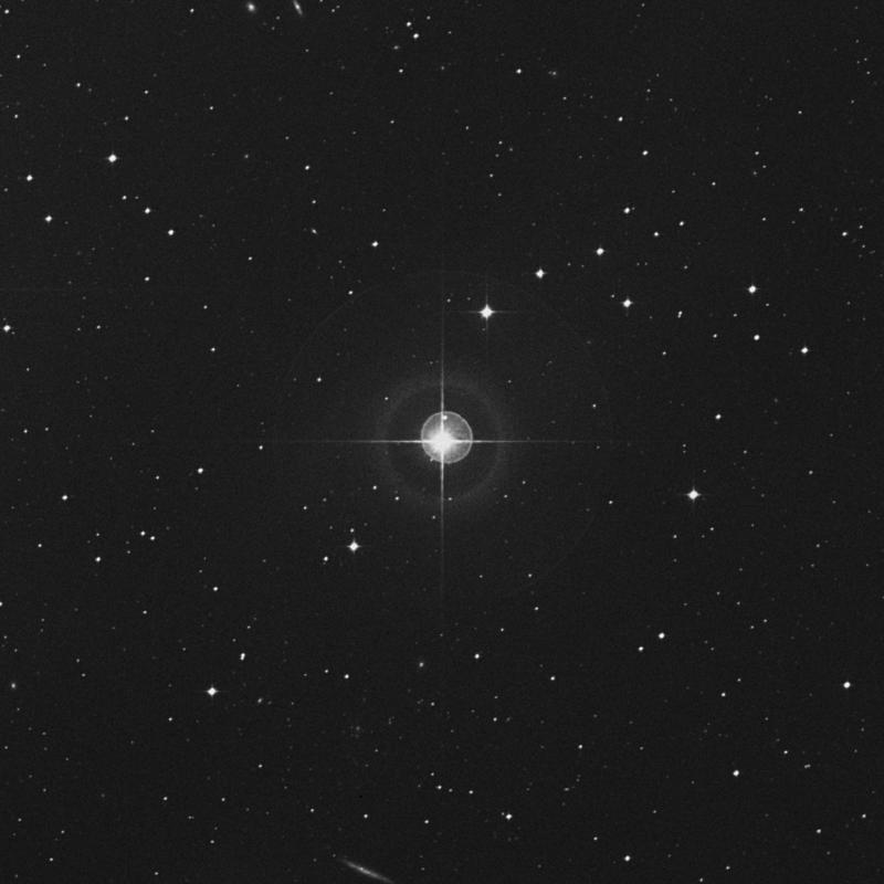 Image of 37 Eridani star