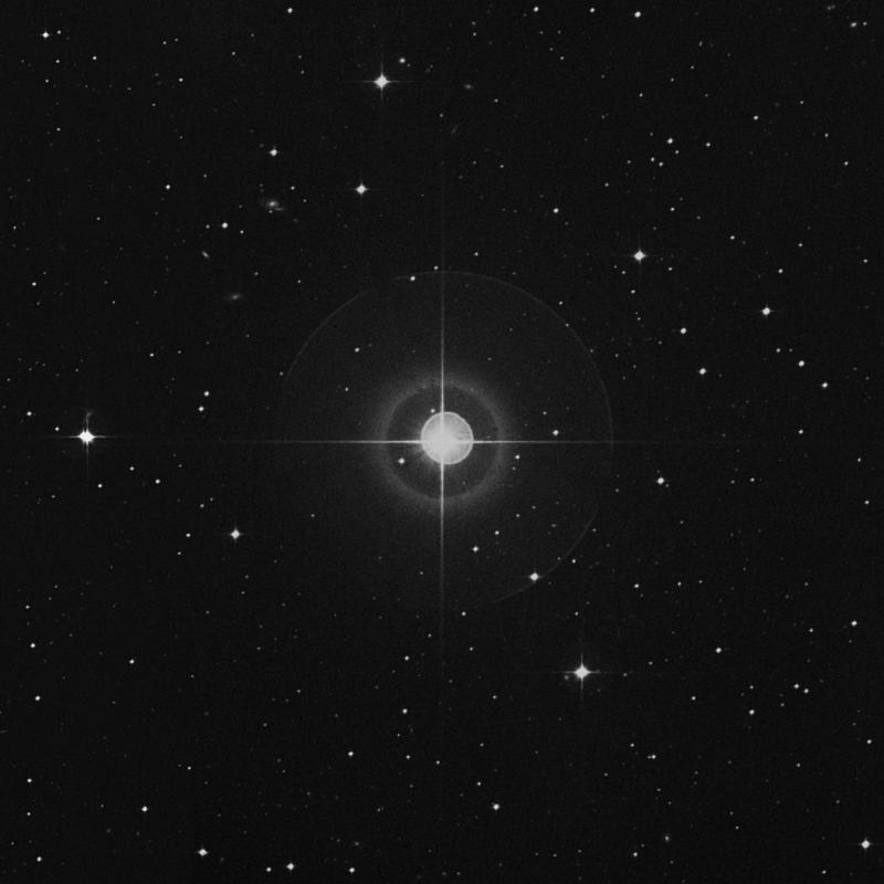 Image of Beid - ο1 Eridani (omicron1 Eridani) star