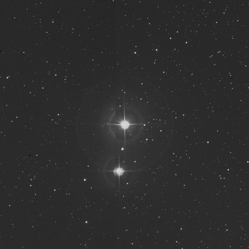 Image of κ1 Tauri (kappa1 Tauri) star