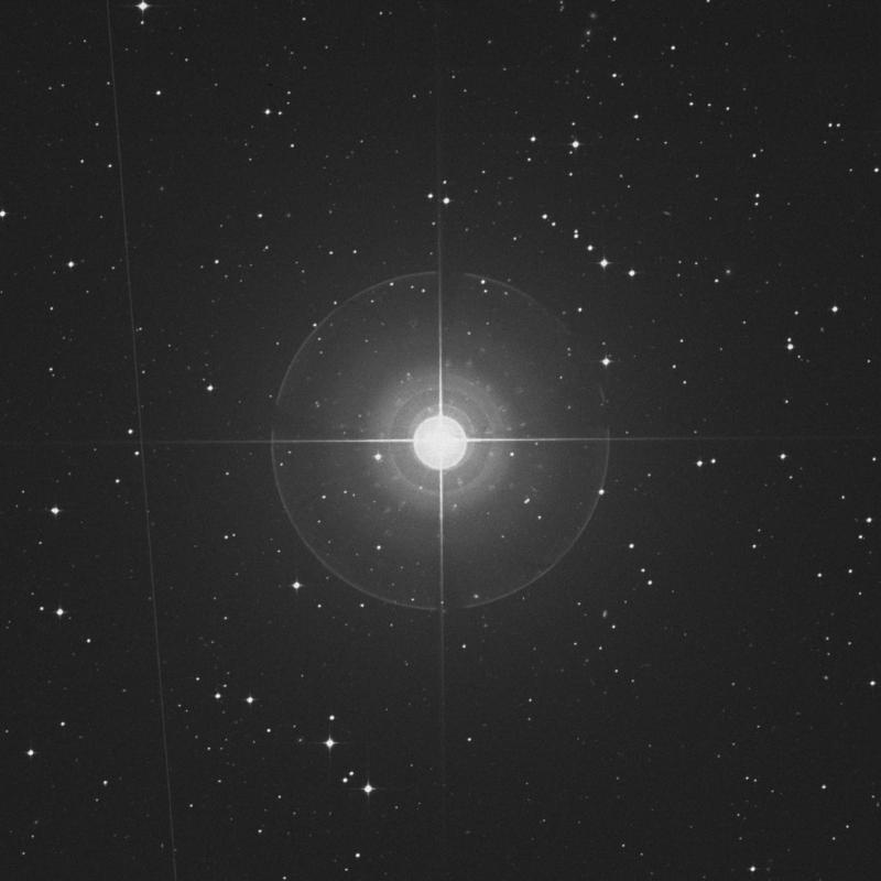 Image of Beemim - 43 Eridani star
