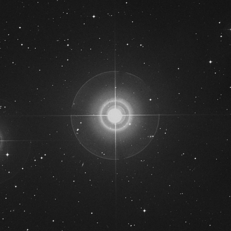Image of Sceptrum - 53 Eridani star