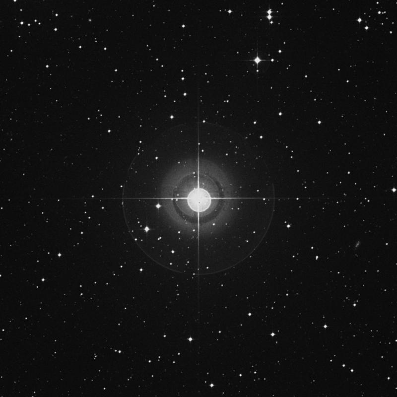 Image of μ Eridani (mu Eridani) star