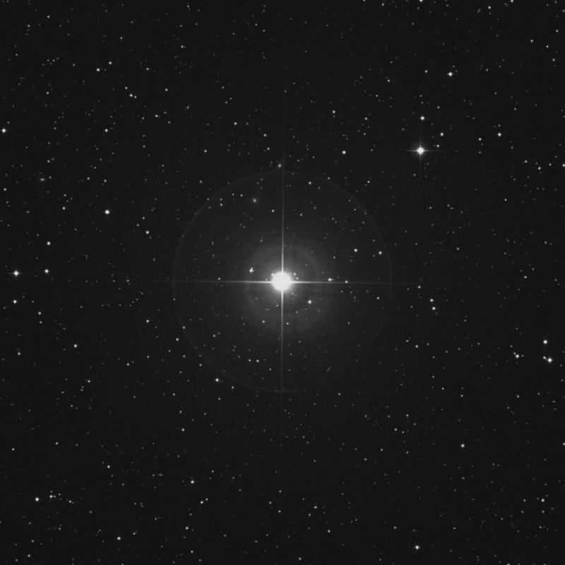 Image of ο2 Orionis (omicron2 Orionis) star