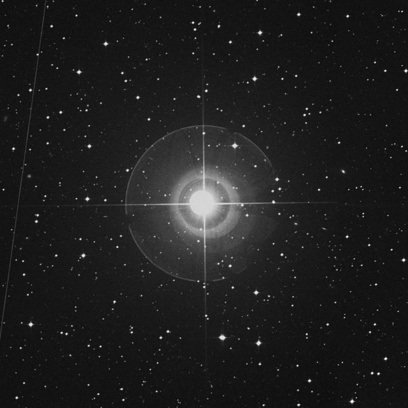 Image of μ Leporis (mu Leporis) star