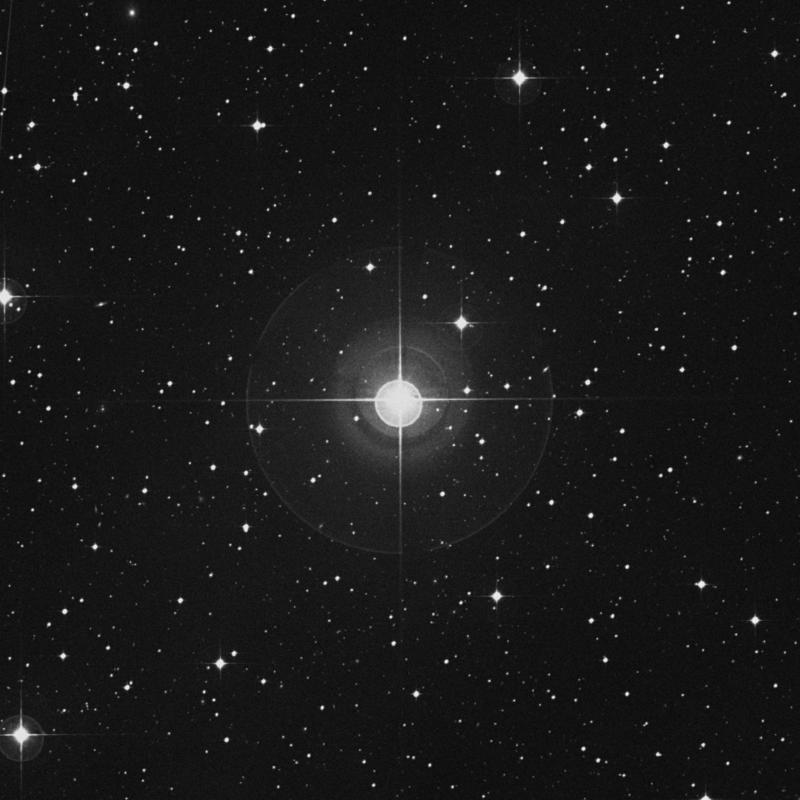 Image of λ Leporis (lambda Leporis) star