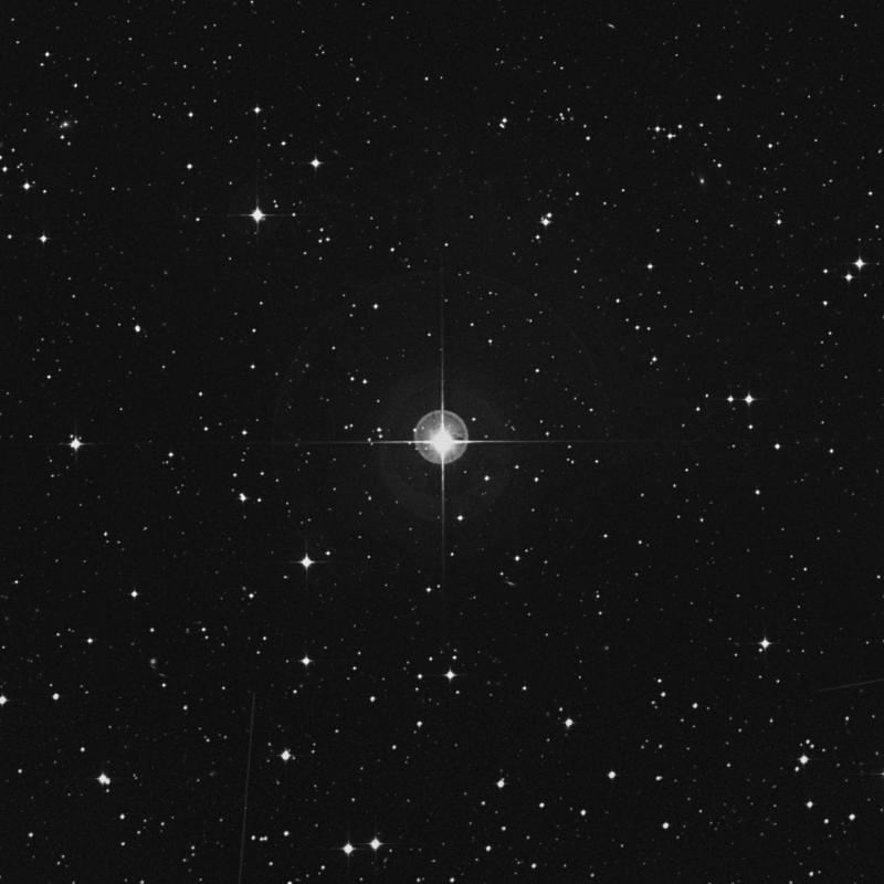 Image of ν Leporis (nu Leporis) star
