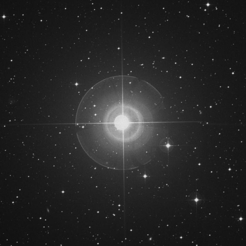 Image of Nihal - β Leporis (beta Leporis) star