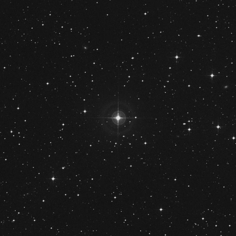 Image of HR1838 star