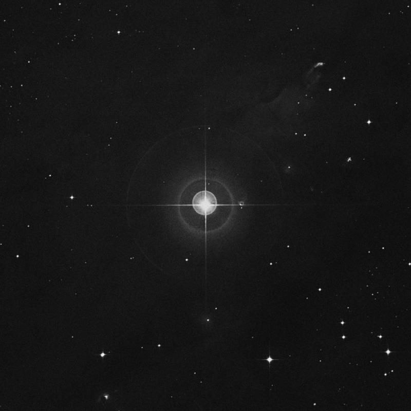 Image of 49 Orionis star