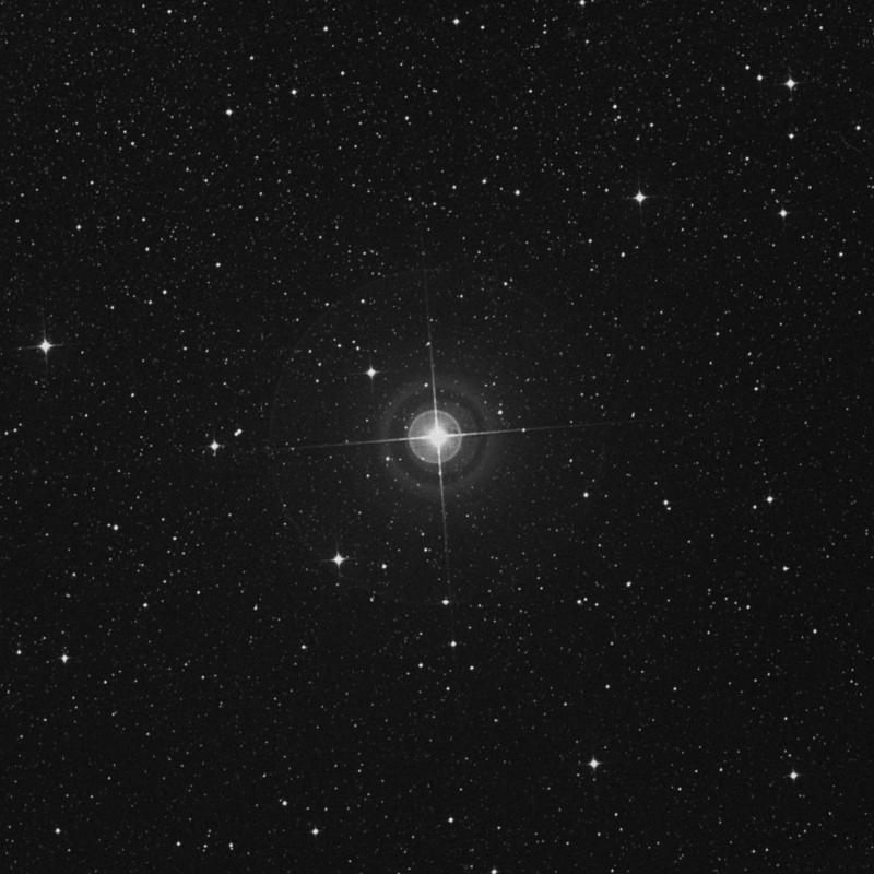 Image of λ Hydri (lambda Hydri) star