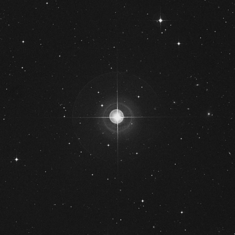 Image of φ3 Ceti (phi3 Ceti) star
