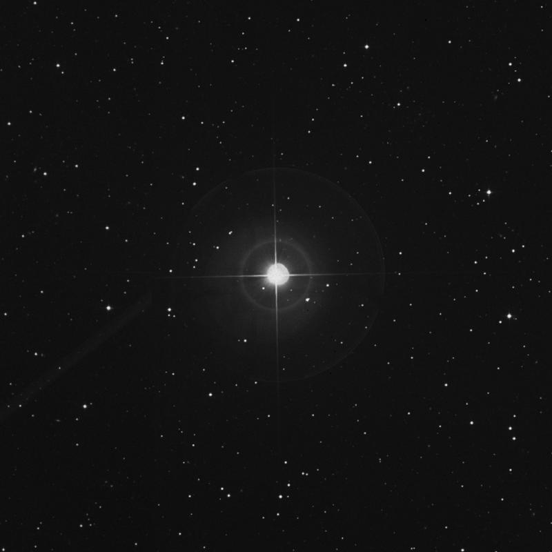 Image of η Andromedae (eta Andromedae) star