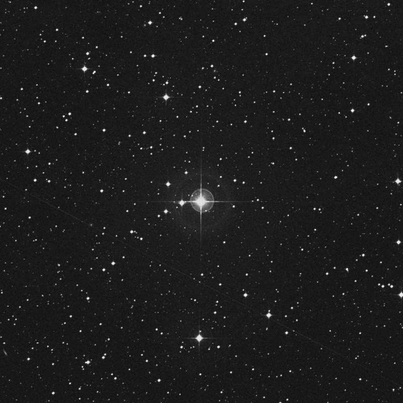 Image of HR2000 star