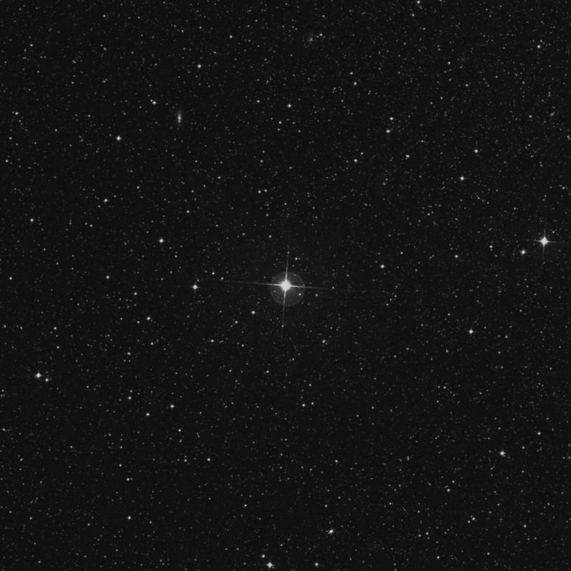 Image of λ Mensae (lambda Mensae) star