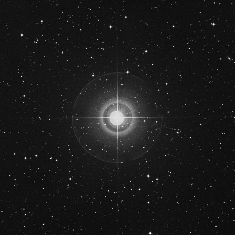 Image of η Leporis (eta Leporis) star
