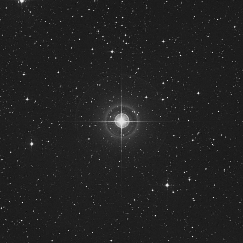 Image of 17 Leporis star