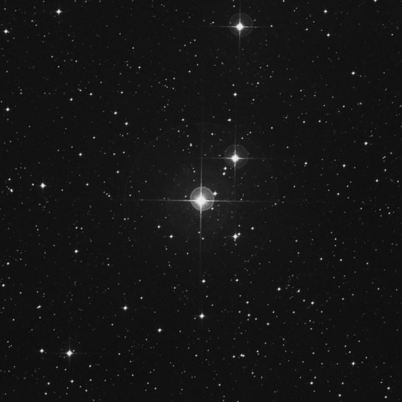Image of Elkurud - θ Columbae (theta Columbae) star