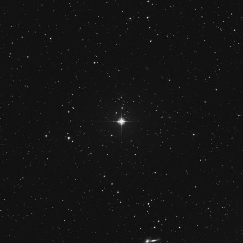 Image of 4 Lyncis star