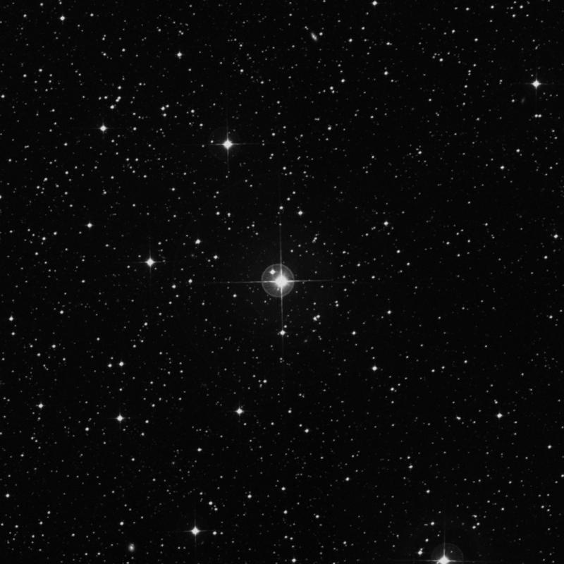 Image of HR2349 star