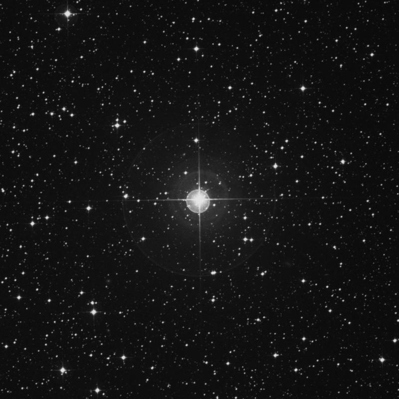 Image of ξ1 Canis Majoris (xi1 Canis Majoris) star
