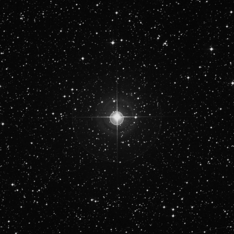 Image of ξ2 Canis Majoris (xi2 Canis Majoris) star