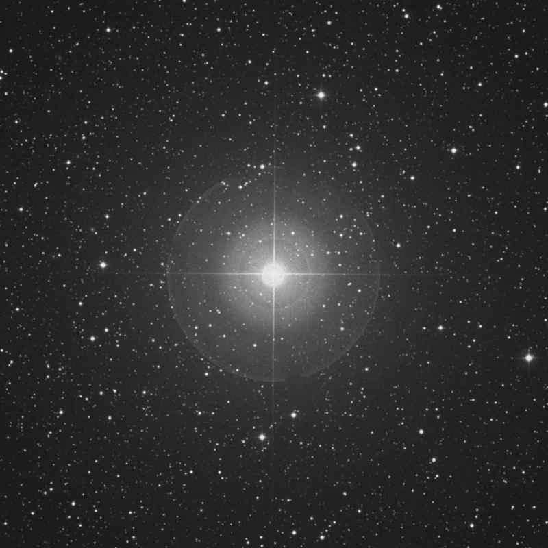 Image of Alhena - γ Geminorum (gamma Geminorum) star