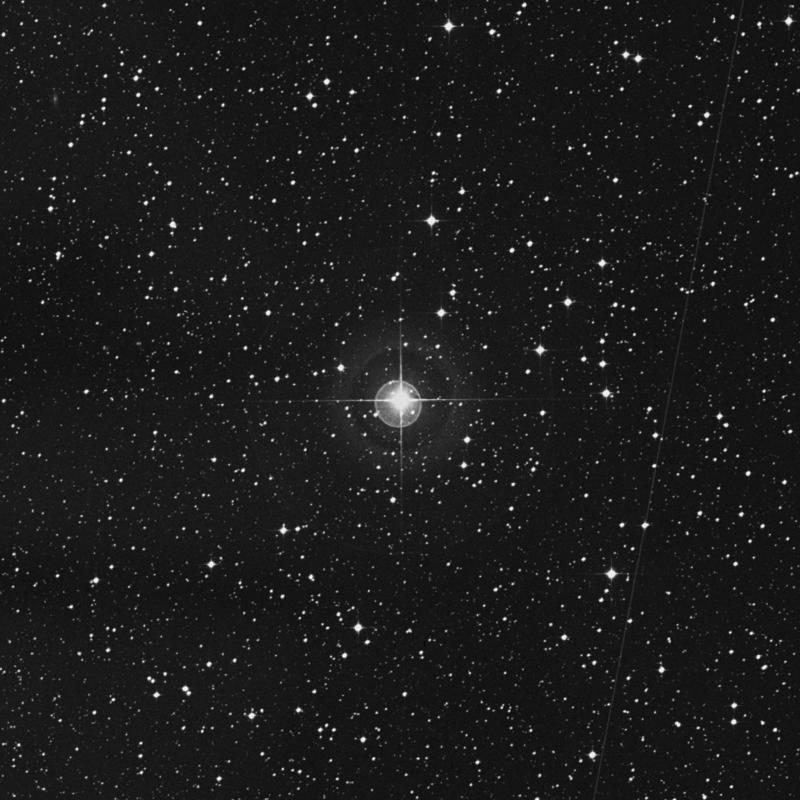 Image of HR2428 star