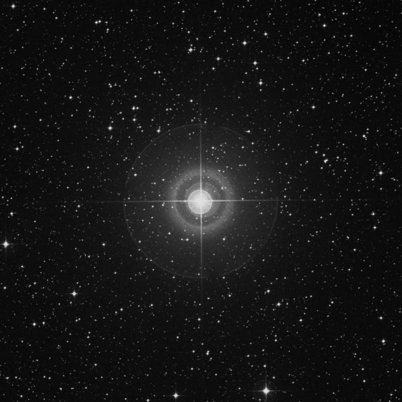 Image of ν2 Canis Majoris (nu2 Canis Majoris) star