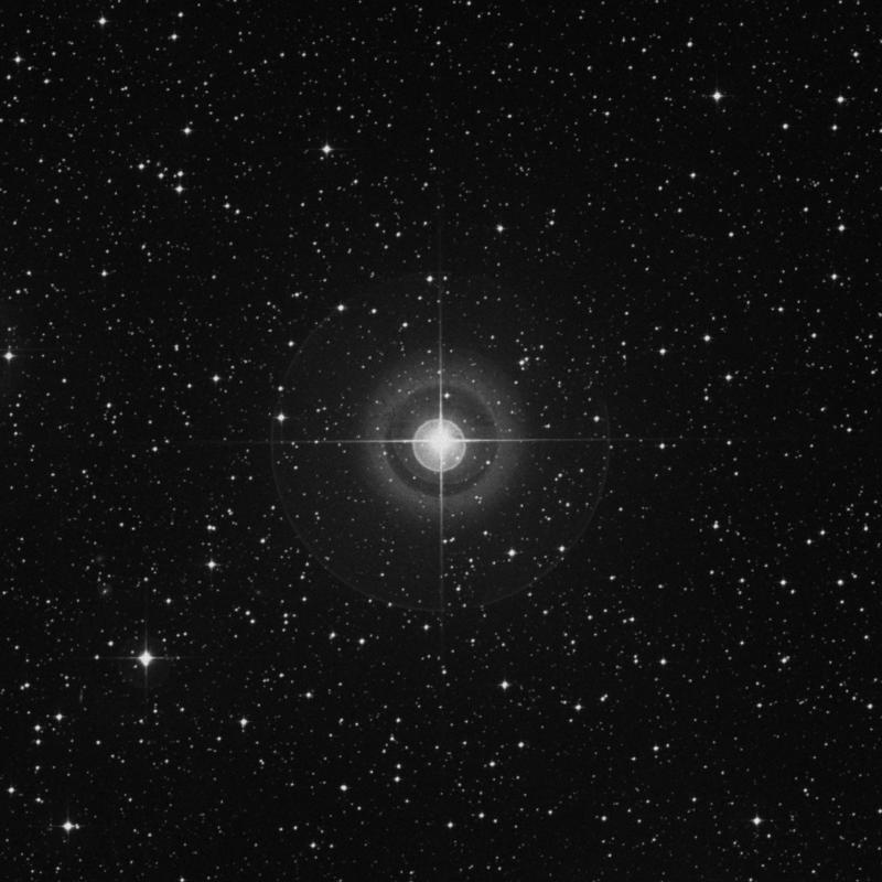 Image of ν3 Canis Majoris (nu3 Canis Majoris) star