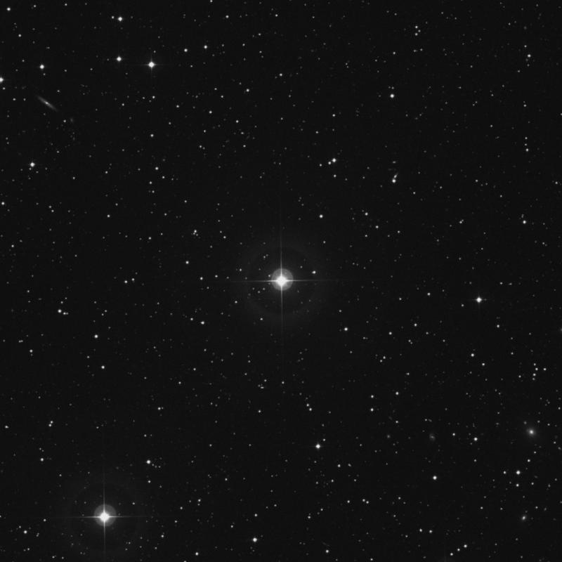 Image of HR2463 star