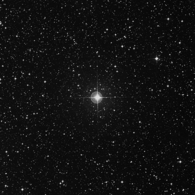 Image of 15 Canis Majoris star