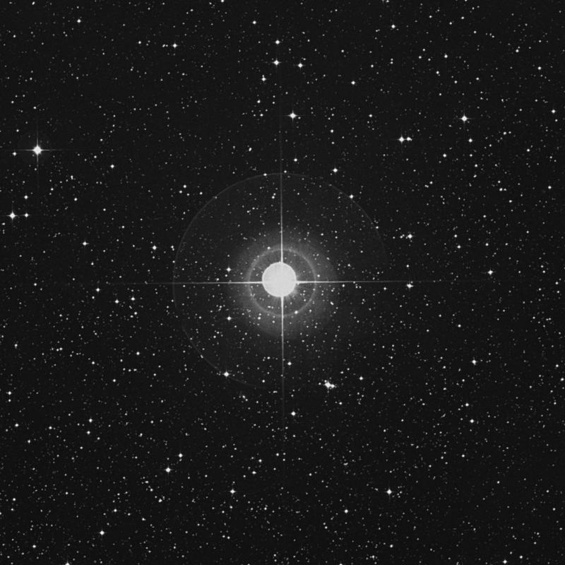 Image of θ Canis Majoris (theta Canis Majoris) star