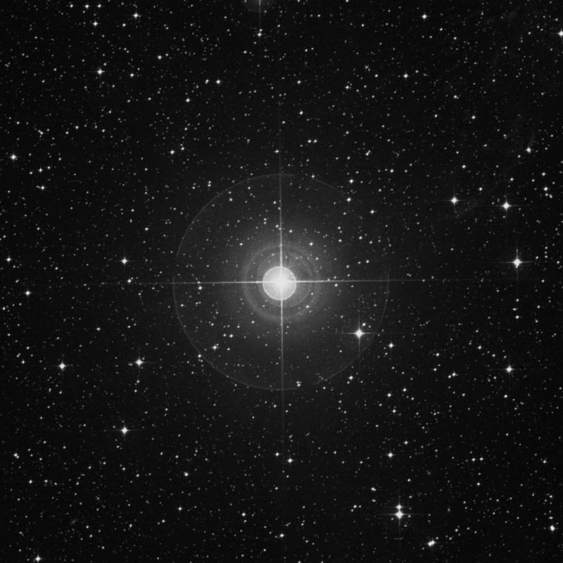 Image of ο1 Canis Majoris (omicron1 Canis Majoris) star