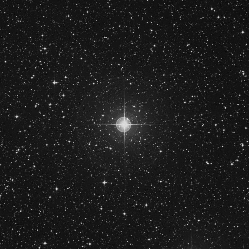 Image of π Canis Majoris (pi Canis Majoris) star
