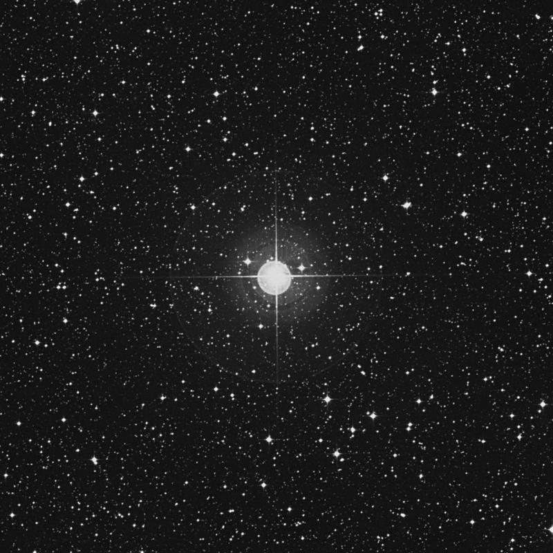 Image of μ Canis Majoris (mu Canis Majoris) star