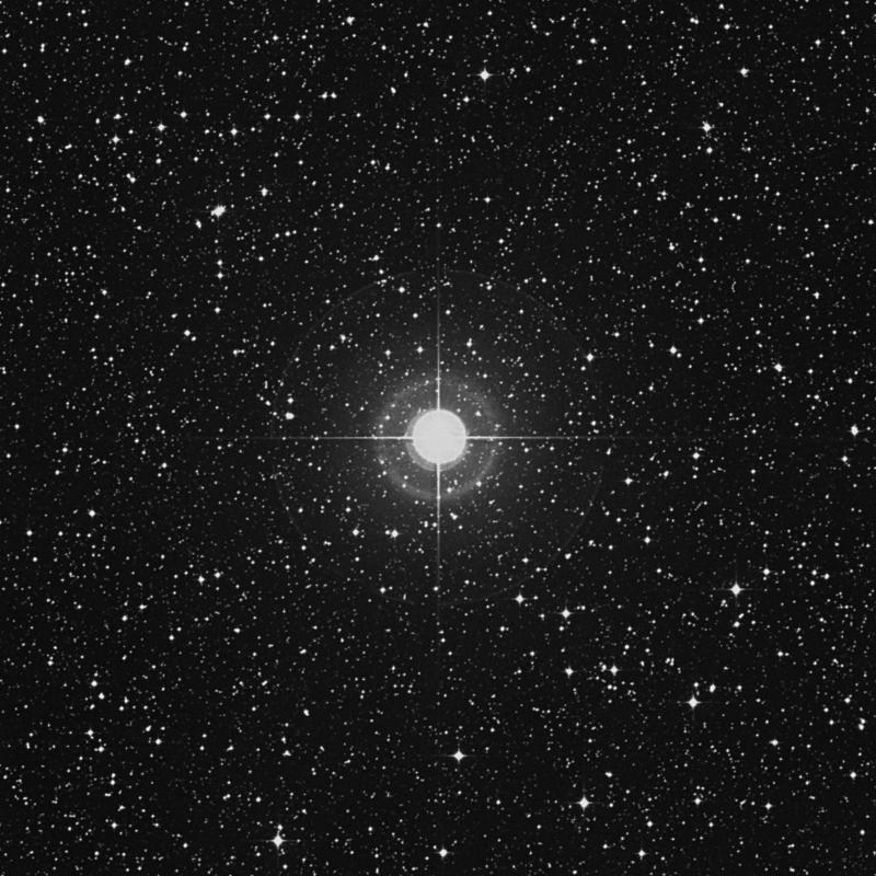 Image of Muliphein - γ Canis Majoris (gamma Canis Majoris) star