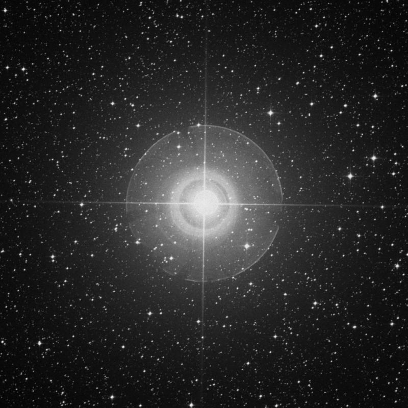 Image of Wezen - δ Canis Majoris (delta Canis Majoris) star