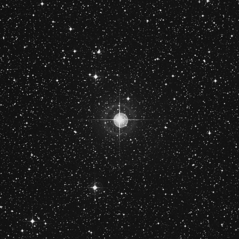 Image of 20 Monocerotis star