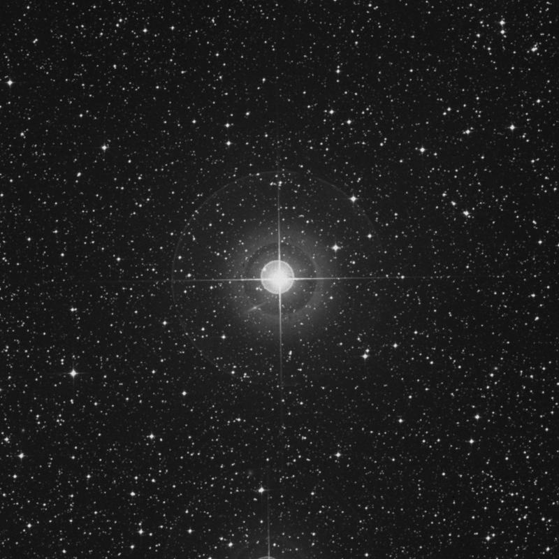 Image of ω Canis Majoris (omega Canis Majoris) star