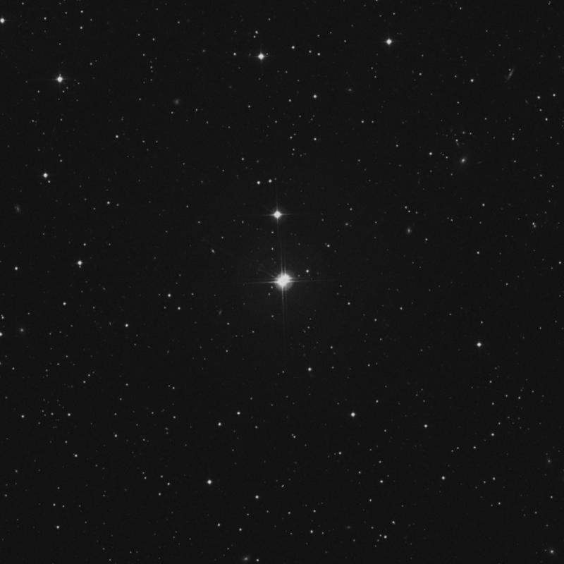 Image of 19 Lyncis star