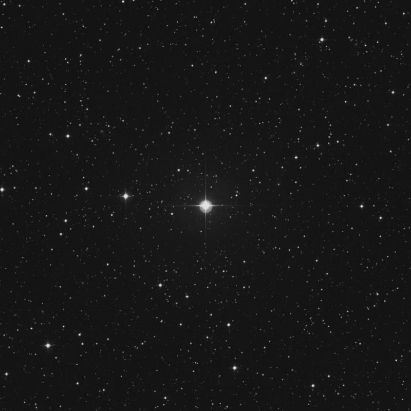 Image of 1 Canis Minoris star