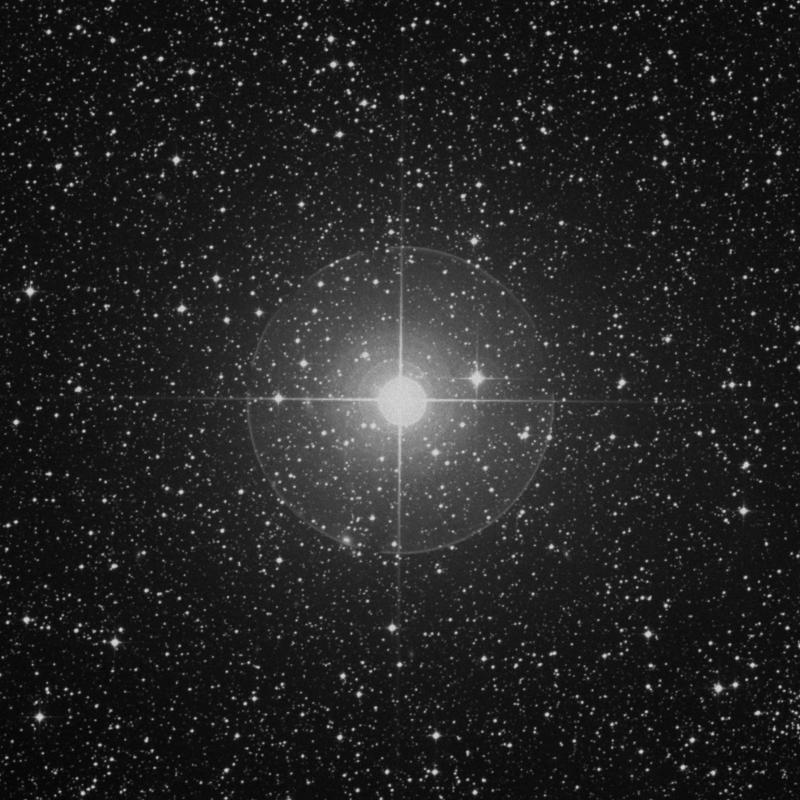 Image of Aludra - η Canis Majoris (eta Canis Majoris) star