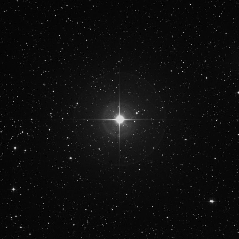 Image of γ Canis Minoris (gamma Canis Minoris) star