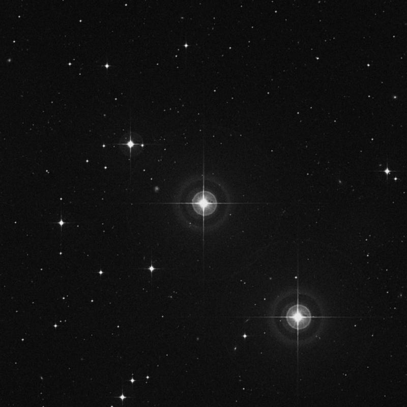 Image of 28 Ceti star