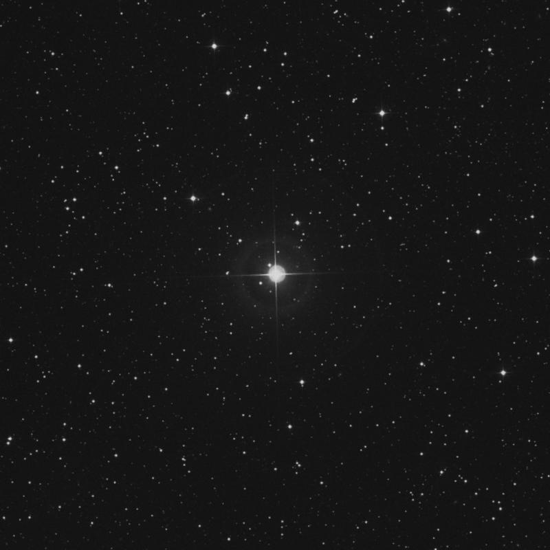 Image of 41 Andromedae star