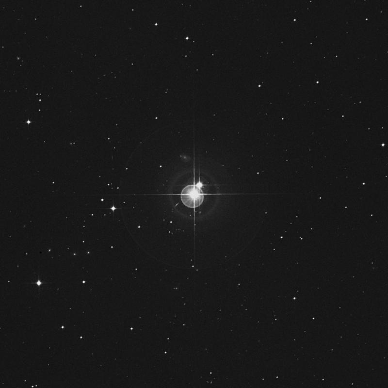 Image of 37 Ceti star