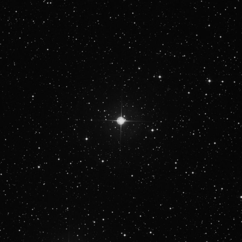 Image of HR372 star