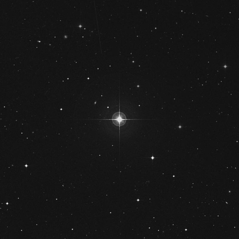 Image of 42 Ceti star
