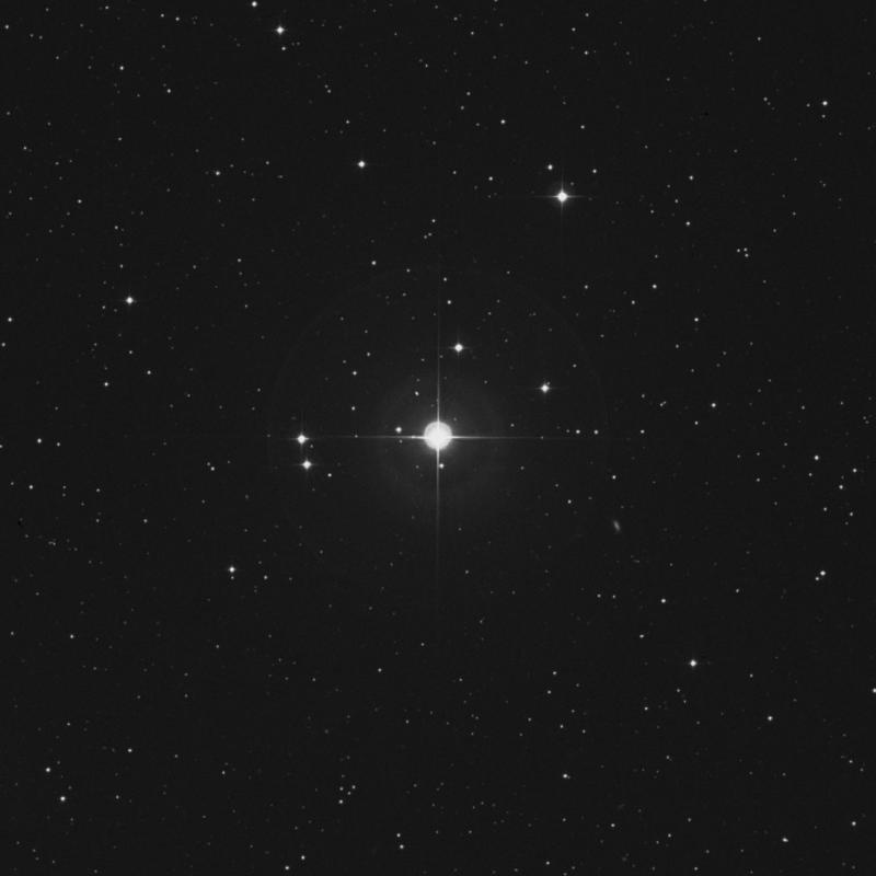 Image of χ Geminorum (chi Geminorum) star